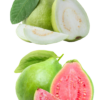 guava