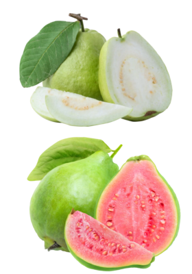 guava