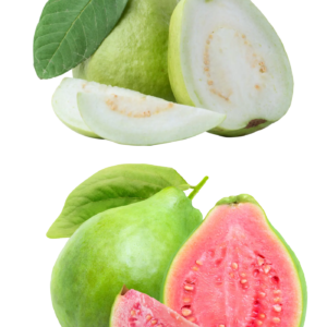 guava