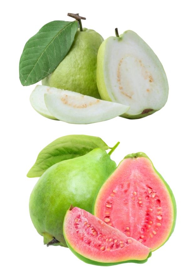 guava